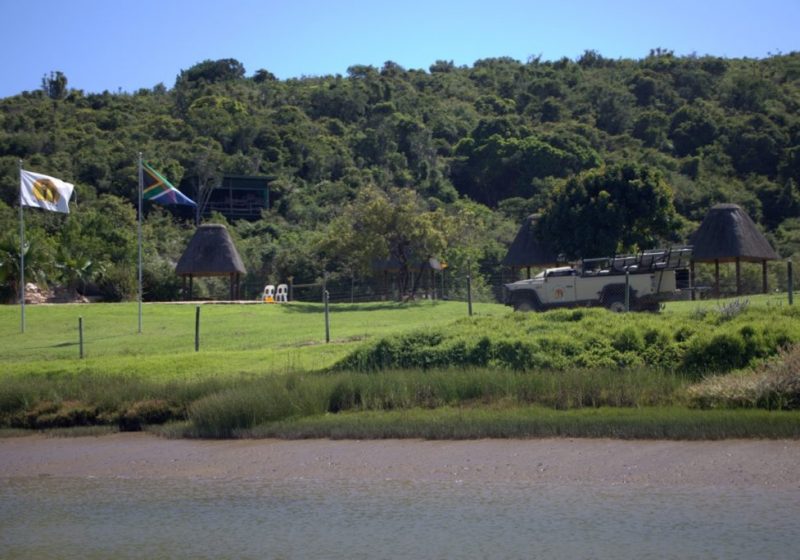 mansfield river cruises port alfred mansfield river cruises port alfred