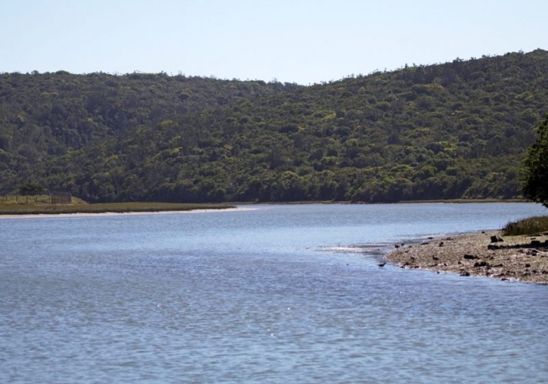 river cruises port alfred river cruises port alfred