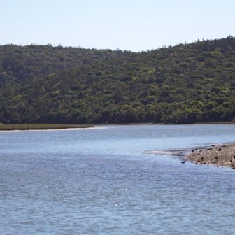 river cruises port alfred